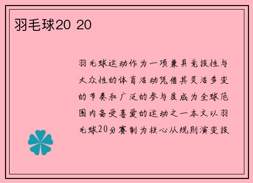 羽毛球20 20
